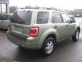 Kiwi Green Metallic - Escape XLT Photo No. 3