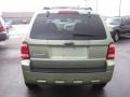 Kiwi Green Metallic - Escape XLT Photo No. 4