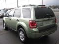 Kiwi Green Metallic - Escape XLT Photo No. 5