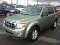 Kiwi Green Metallic - Escape XLT Photo No. 7