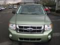 Kiwi Green Metallic - Escape XLT Photo No. 8