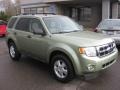Kiwi Green Metallic - Escape XLT Photo No. 9