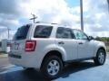 2010 White Suede Ford Escape XLT V6  photo #3