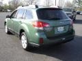 2010 Cypress Green Pearl Subaru Outback 2.5i Premium Wagon  photo #6