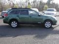 2010 Cypress Green Pearl Subaru Outback 2.5i Premium Wagon  photo #7