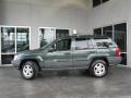 2001 Shale Green Metallic Jeep Grand Cherokee Laredo  photo #6