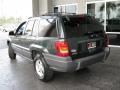 2001 Shale Green Metallic Jeep Grand Cherokee Laredo  photo #7