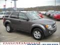 2010 Sterling Grey Metallic Ford Escape XLT V6 4WD  photo #4