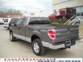 2010 Sterling Grey Metallic Ford F150 XLT SuperCab 4x4  photo #8