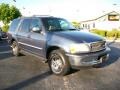 Medium Wedgewood Blue Metallic - Expedition XLT Photo No. 4