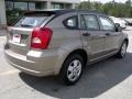 Light Khaki Metallic - Caliber SE Photo No. 8