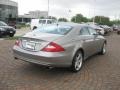 Pewter Metallic - CLS 500 Photo No. 7