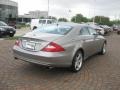 2006 Pewter Metallic Mercedes-Benz CLS 500  photo #7