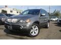 2006 Stratus Grey Metallic BMW X5 4.4i  photo #1