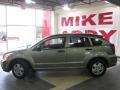Light Khaki Metallic - Caliber SE Photo No. 2