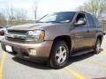 2003 Sandalwood Metallic Chevrolet TrailBlazer LT 4x4  photo #24