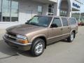Sandalwood Metallic - S10 LS Crew Cab 4x4 Photo No. 2