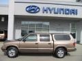 Sandalwood Metallic - S10 LS Crew Cab 4x4 Photo No. 3