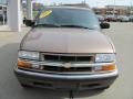 Sandalwood Metallic - S10 LS Crew Cab 4x4 Photo No. 12
