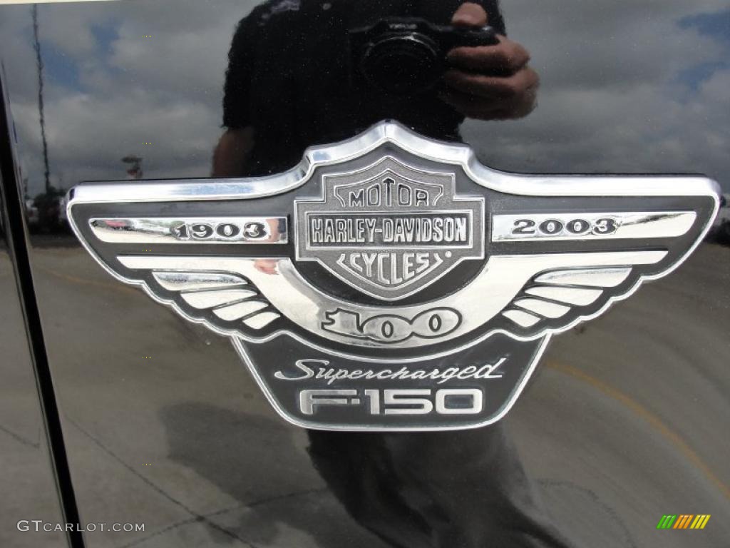 2003 F150 Harley-Davidson SuperCrew - Black / Black/Silver photo #20