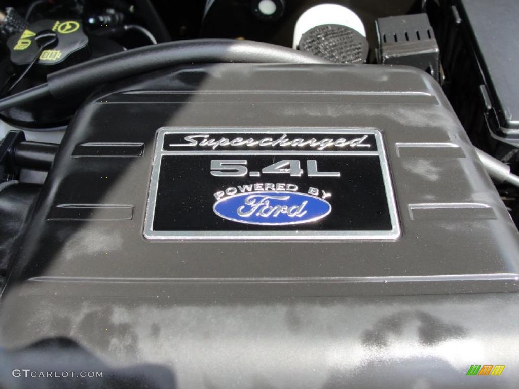 2003 Ford F150 Harley-Davidson SuperCrew 5.4 Liter SVT Supercharged SOHC 16-Valve Triton V8 Engine Photo #28273210