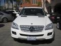 Alabaster White - ML 350 4Matic Photo No. 10