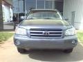Bluestone Metallic - Highlander V6 Photo No. 2