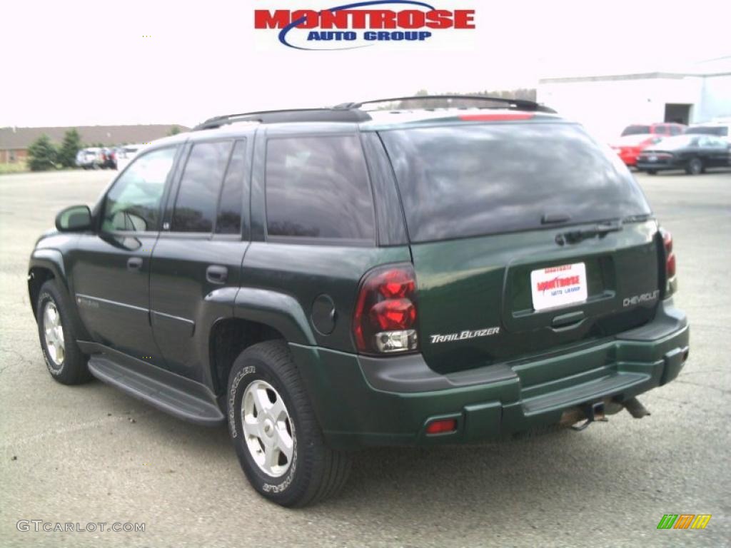 2002 TrailBlazer LS 4x4 - Forest Green Metallic / Dark Pewter photo #5