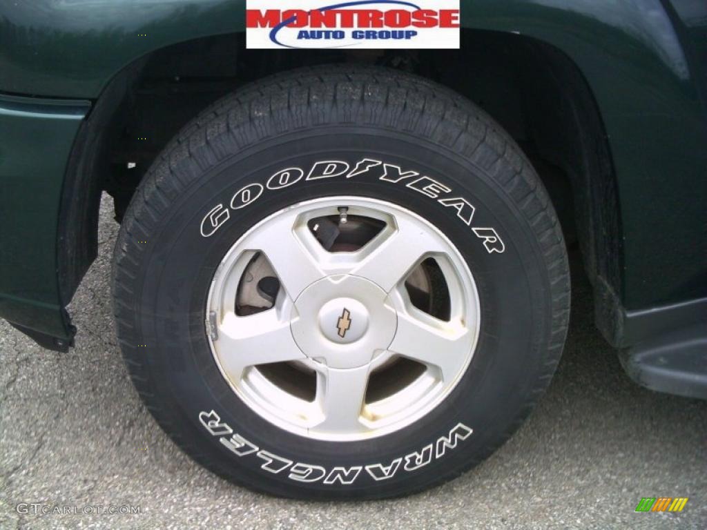 2002 TrailBlazer LS 4x4 - Forest Green Metallic / Dark Pewter photo #19