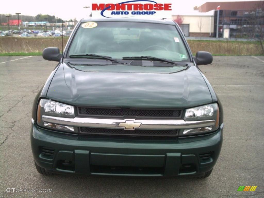 2002 TrailBlazer LS 4x4 - Forest Green Metallic / Dark Pewter photo #22