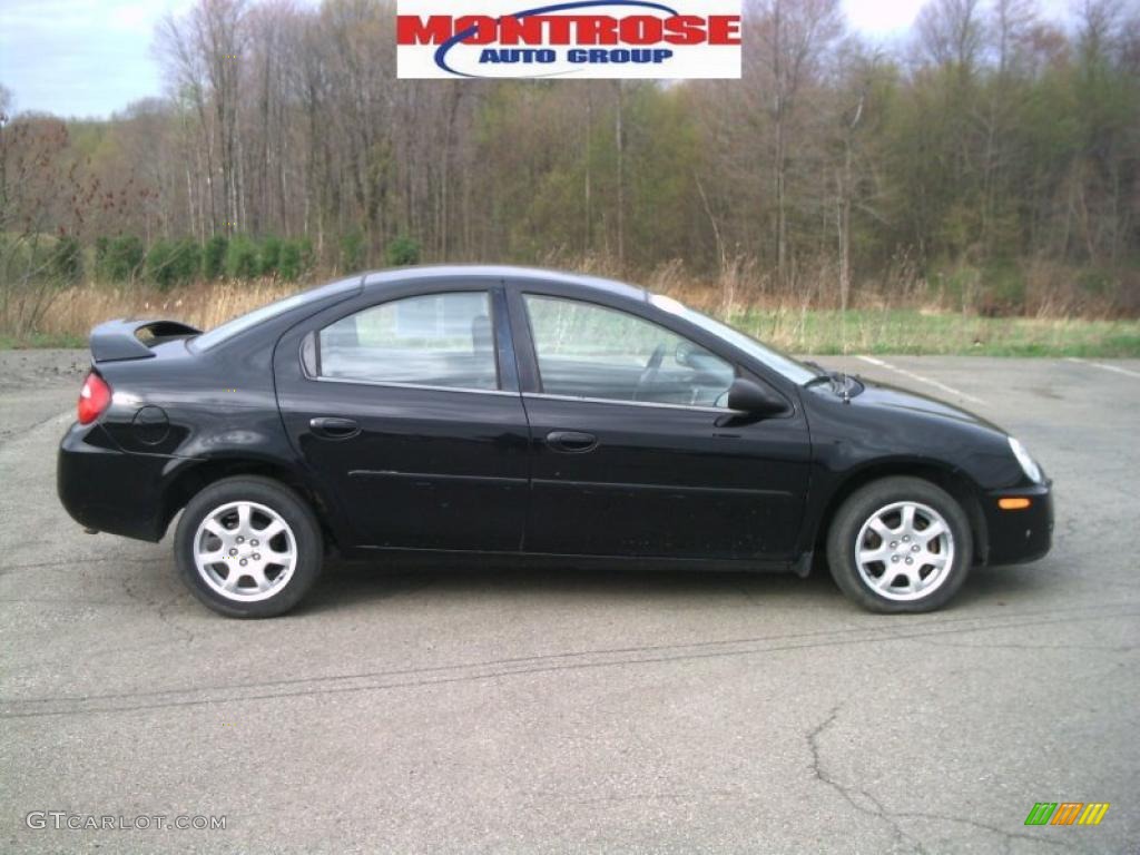 Black Dodge Neon