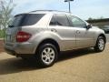 2007 Pewter Metallic Mercedes-Benz ML 350 4Matic  photo #6