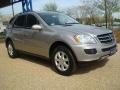 2007 Pewter Metallic Mercedes-Benz ML 350 4Matic  photo #8