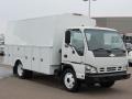 White - W Series Truck W4500 Commercial Utility Truck Photo No. 1