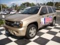Sandstone Metallic - TrailBlazer LS Photo No. 3