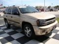 Sandstone Metallic - TrailBlazer LS Photo No. 5