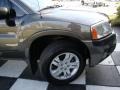 2004 Mineral Beige Pearl Mitsubishi Endeavor LS  photo #31