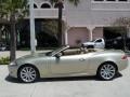 Winter Gold Metallic - XK XK8 Convertible Photo No. 3