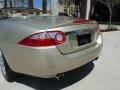 Winter Gold Metallic - XK XK8 Convertible Photo No. 6