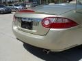Winter Gold Metallic - XK XK8 Convertible Photo No. 7