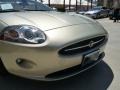 Winter Gold Metallic - XK XK8 Convertible Photo No. 8