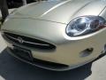 Winter Gold Metallic - XK XK8 Convertible Photo No. 9