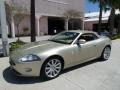 Winter Gold Metallic - XK XK8 Convertible Photo No. 12