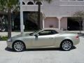 Winter Gold Metallic - XK XK8 Convertible Photo No. 13