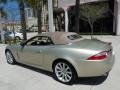 Winter Gold Metallic - XK XK8 Convertible Photo No. 14