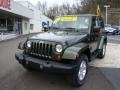 2007 Jeep Green Metallic Jeep Wrangler Sahara 4x4  photo #8