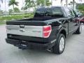 Black - F150 Platinum SuperCrew Photo No. 4