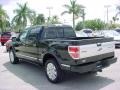 Black - F150 Platinum SuperCrew Photo No. 7