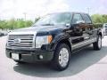 Black - F150 Platinum SuperCrew Photo No. 9