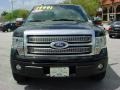 Black - F150 Platinum SuperCrew Photo No. 10